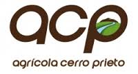 Logo - cerro prieto.jpg